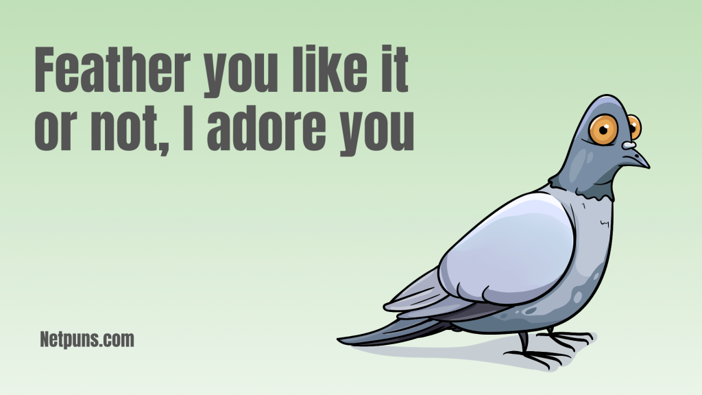 Feather you like it or not, I adore you.
