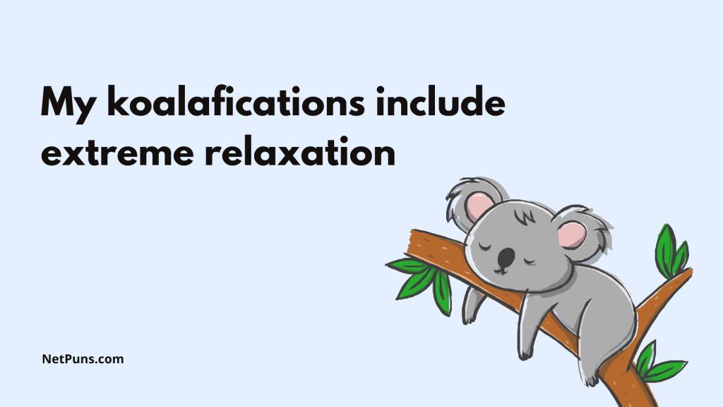 My koalafications include extreme relaxation.